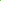 Jelly Belly Bright Green Jelly Beans - Kiwi 1LB