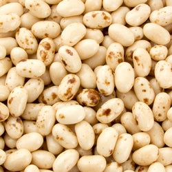 Jelly Belly Toasted Marshmallow Jelly Beans