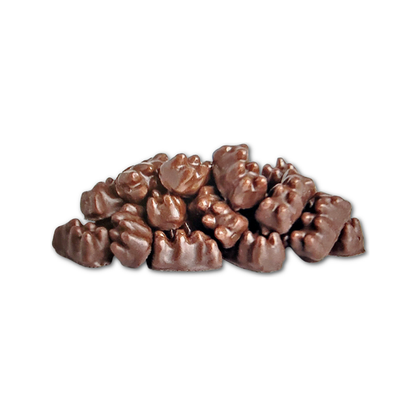 Chocolate Gummy Bears